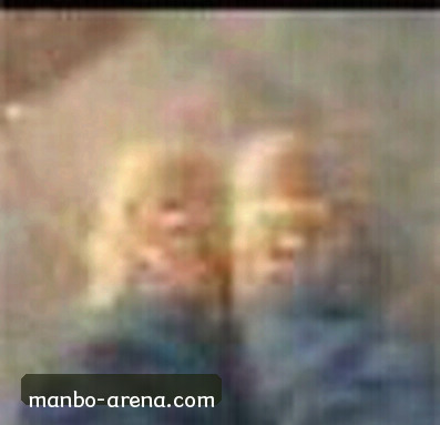 陈总